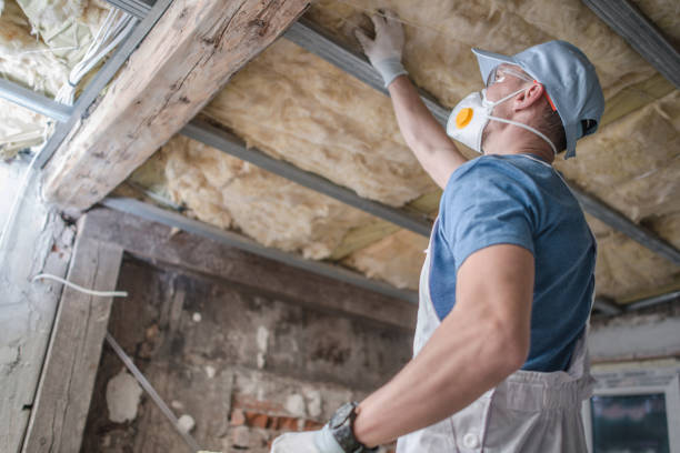 Best Spray Foam Insulation in Meadowdale, WA