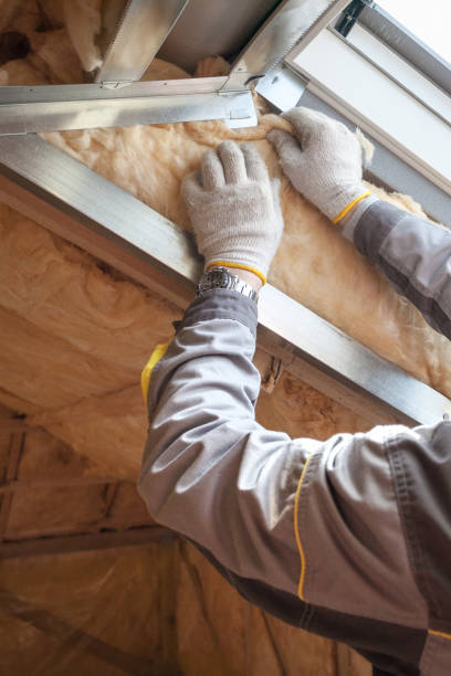 Best Eco-Friendly Insulation in Meadowdale, WA