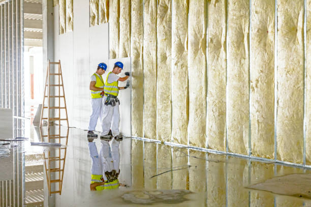 Best Spray Foam Insulation in Meadowdale, WA